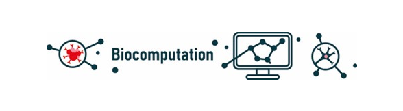 State-of-the-art computational tools for analysing complex big data